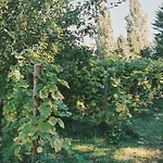 Am Muehlenberg Вердер