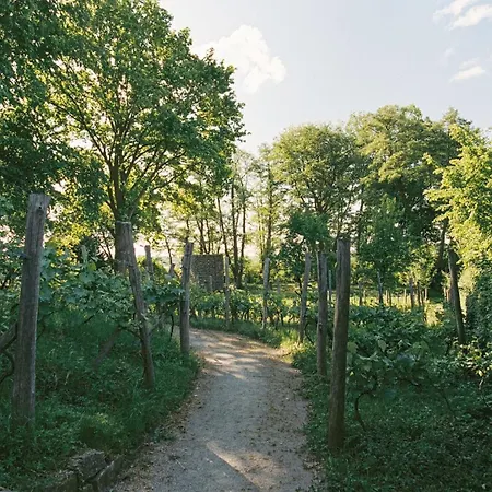 Am Muehlenberg Daire *