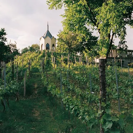 Appartement Am Muehlenberg *