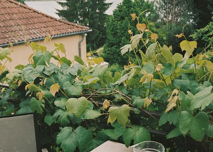 Am Muehlenberg Appartement *