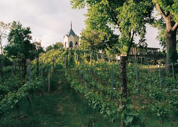 Appartement Am Muehlenberg *